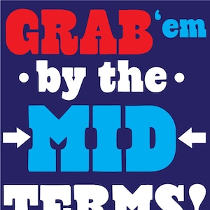 DIGITAL DOWNLOAD - Grab &#39;Em By The Midterms - Womens March and Voting Rights Downloadablle Protest Poster