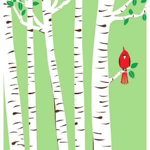 May include: A red cardinal bird perched on a branch in a forest of white birch trees with green leaves.