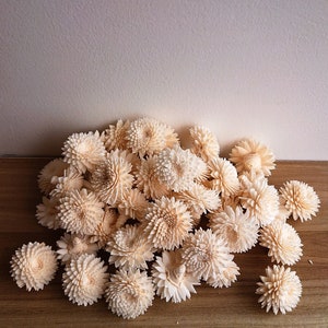 May include: A pile of cream-coloured, wooden, decorative flowers. The flowers are arranged in a loose, organic pattern.