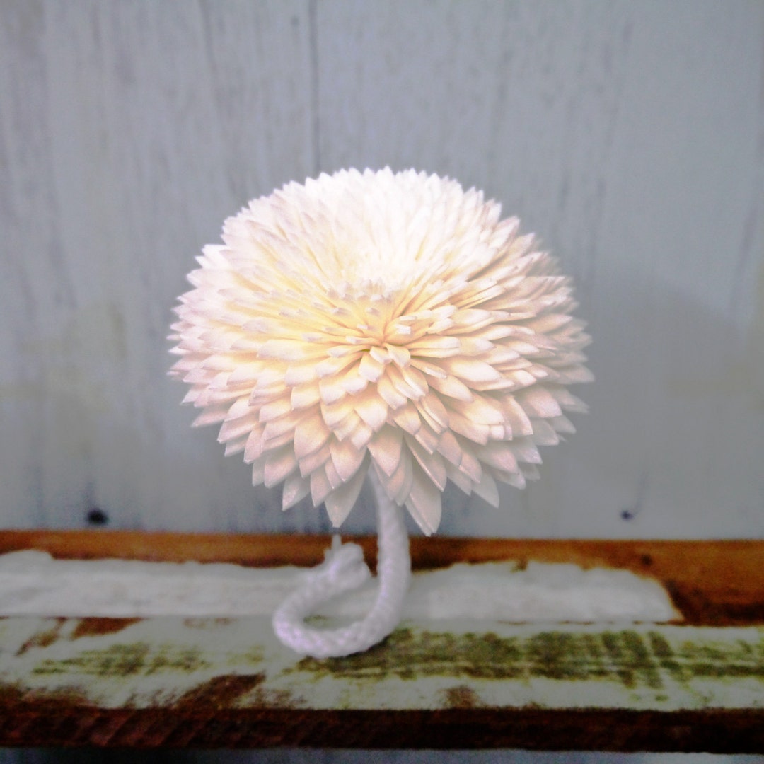 8 Chrysanthemum Sola Wood Diffuser Flowers 8 Cm Dia. With Cotton Rope ...
