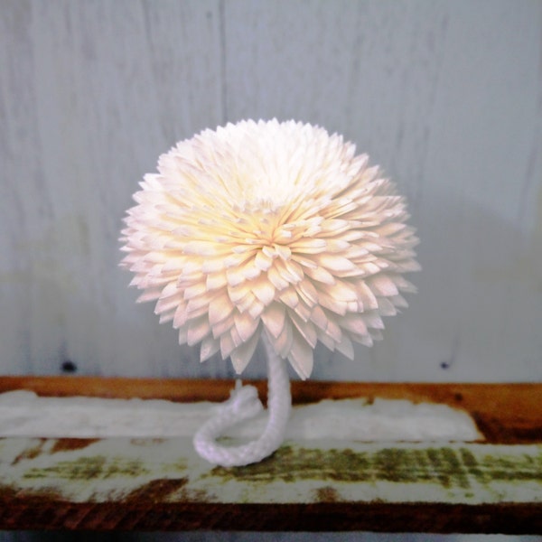 8 Chrysanthemum Sola Wood Diffuser Flowers 8 cm Dia. with cotton rope and adjustable wire stem