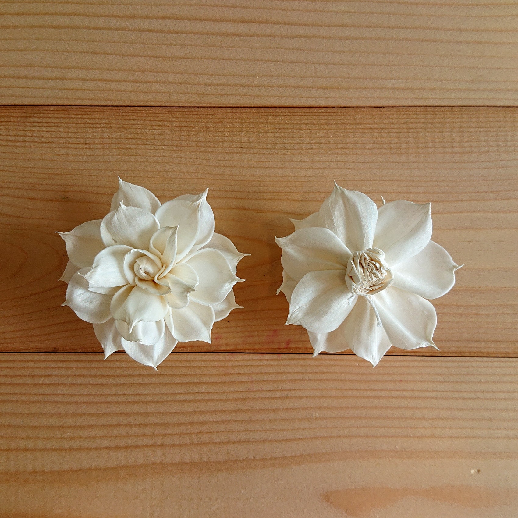 15 Dahlia No.3 Pointed Edge Sola Wood Diffuser Flowers 5cm Dia. With ...