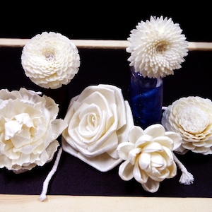 Può includere: Assortimento di fiori bianchi in legno di sola, tra cui una rosa, una peonia, un garofano e altre due varietà. I fiori sono disposti su una superficie nera con una bottiglia di vetro blu sullo sfondo.