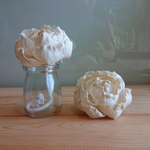 Klaar voor verzending, 8 pioenrozen witte sola houten diffusorbloemen 8 cm dia. met touw