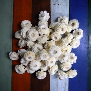 May include: A cluster of white sola wood flowers arranged on a colorful wooden background. The flowers are delicate and have a natural, rustic look.