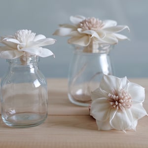 Może przedstawiać: Trzy przezroczyste szklane słoiki z białymi akcentami z kwiatów z drewna sola. Kwiaty są delikatne i mają naturalny, lekko fakturowany wygląd.