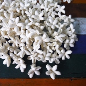 60 Orange Jassamine Sola Wood Diffuser Flowers 3 cm Dia.