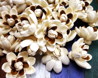 15 Lotus Brown&White Balsa Wood Sola Diffuser Flowers 5 cm Dia.