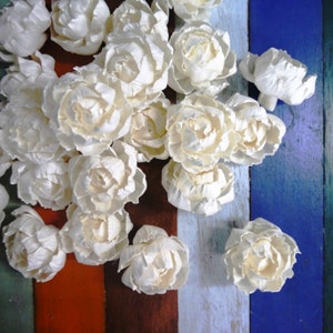 15 Peony Roses Sola Wood Diffuser Flowers 5 cm Dia. with options of rope or wire rope