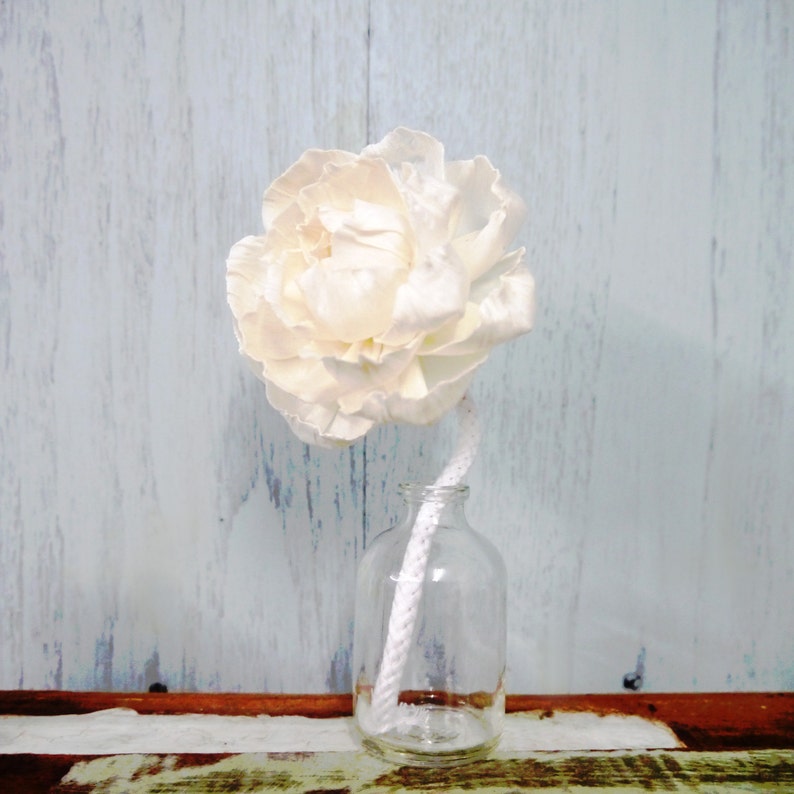 9 Peony Rose Sola Wood Diffuser Flowers 8 Cm Dia. With Cotton Etsy UK