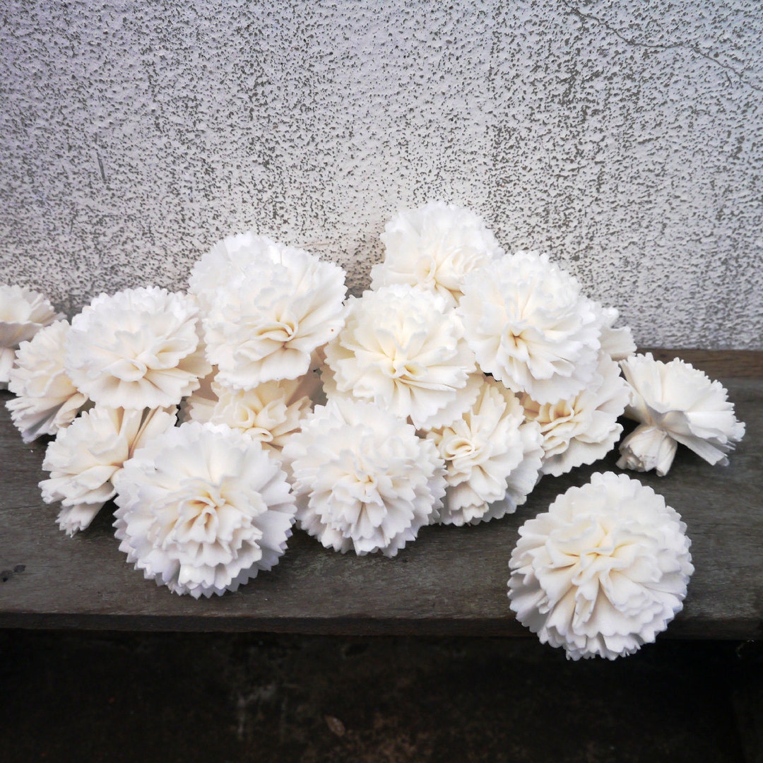 15 Carnation Sola Wood Diffuser Flowers 5 Cm Dia. - Etsy