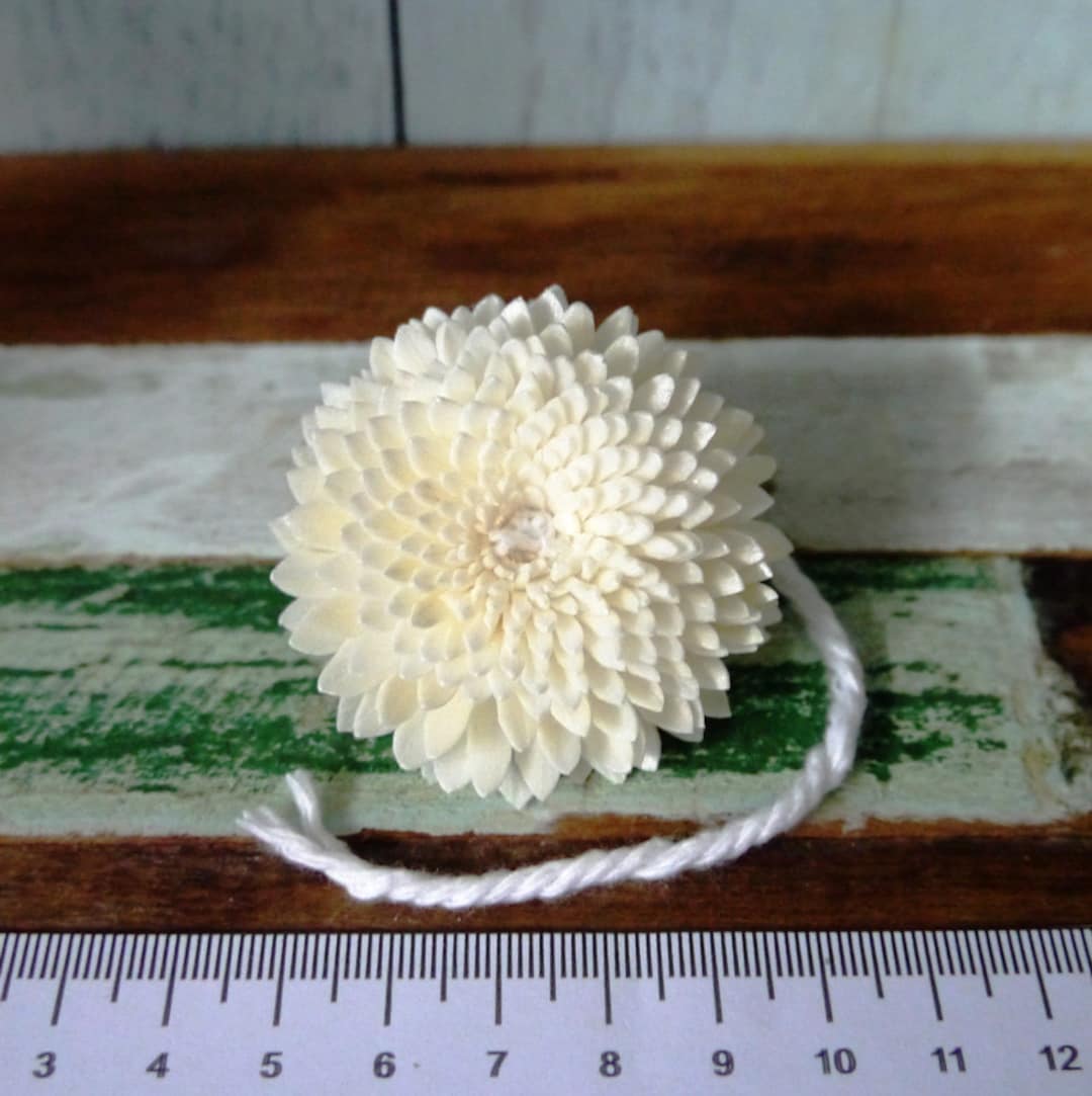 15 Chrysanthemum Sola Wood Diffuser Flowers 5 Cm Dia. With Cotton Rope ...