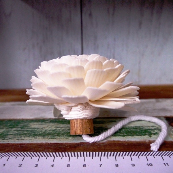 9 Zinnia Sola Wood Diffuser Flowers 8 cm Dia. with cotton rope