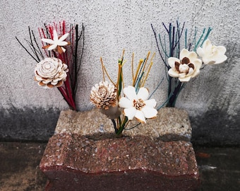 6 minibuketter med Sola-diffusorblommor, 15 cm stora rörblad, med alternativ för färgat rörblad eller naturvitt rörblad.