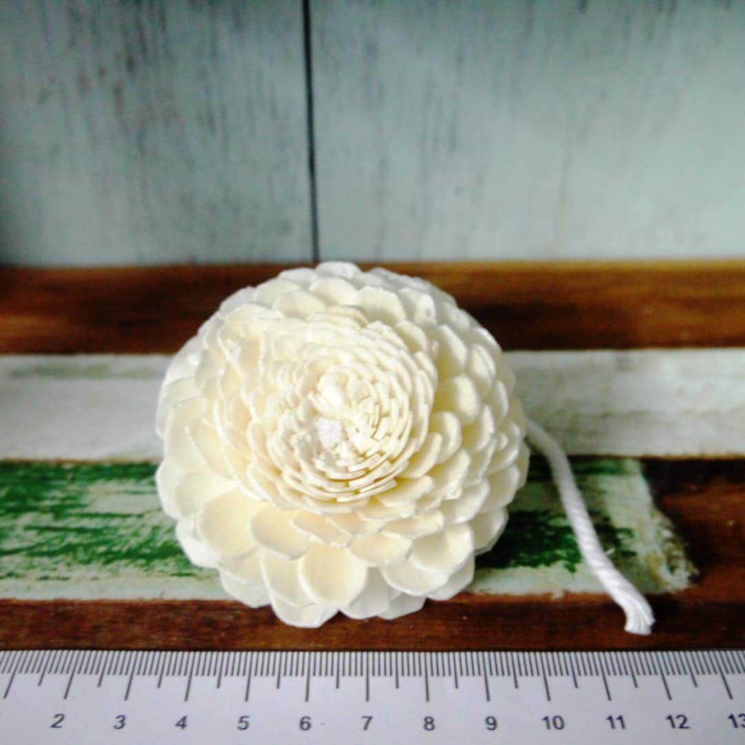 12 Jasmine Sola Wood Diffuser Flowers 7 Cm Dia. With Cotton Rope - Etsy