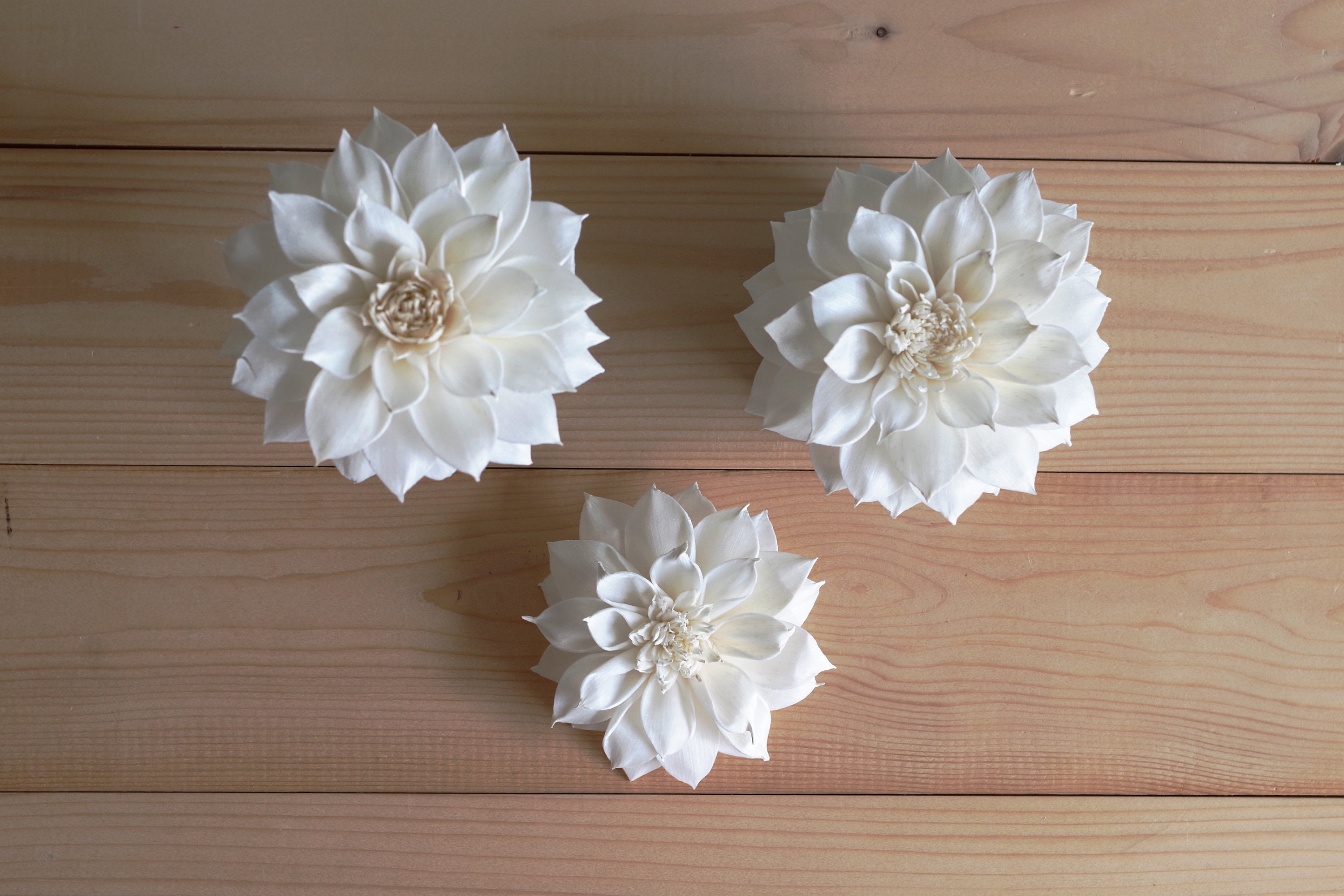 Dahlia No.5 Sola Wood Diffuser Flowers 7cm/8cm/9cm Dia. With Options of ...