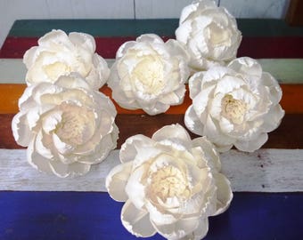 6 Peony Roses Sola Wood Diffuser Flowers with Pollen 10 cm Dia.