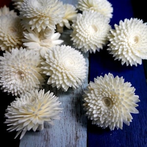 18 Chrysanthemum Sola Wood Diffuser Flowers 4 cm Dia.