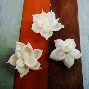 May include: Three white wooden flower decorations on a colorful striped background. The flowers have a delicate, papery texture and are arranged in a staggered pattern.