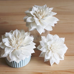 Dahlia No.5 Sola Wood Diffuser Flowers 7cm/8cm/9cm Dia. with options of rope or wire rope, set of 12/9/6 pcs.