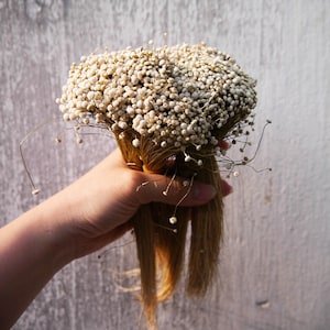 Pode incluir: Um ramo de flores de gipsofila brancas secas com caules longos, segurado em uma m&atilde;o.