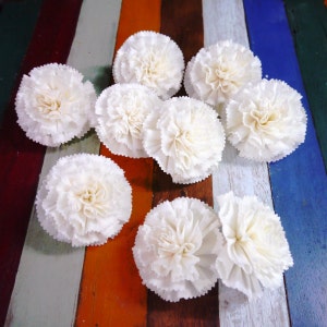 9 nejlika Sola-träblommor i diffusorformat, 8 cm i diameter.