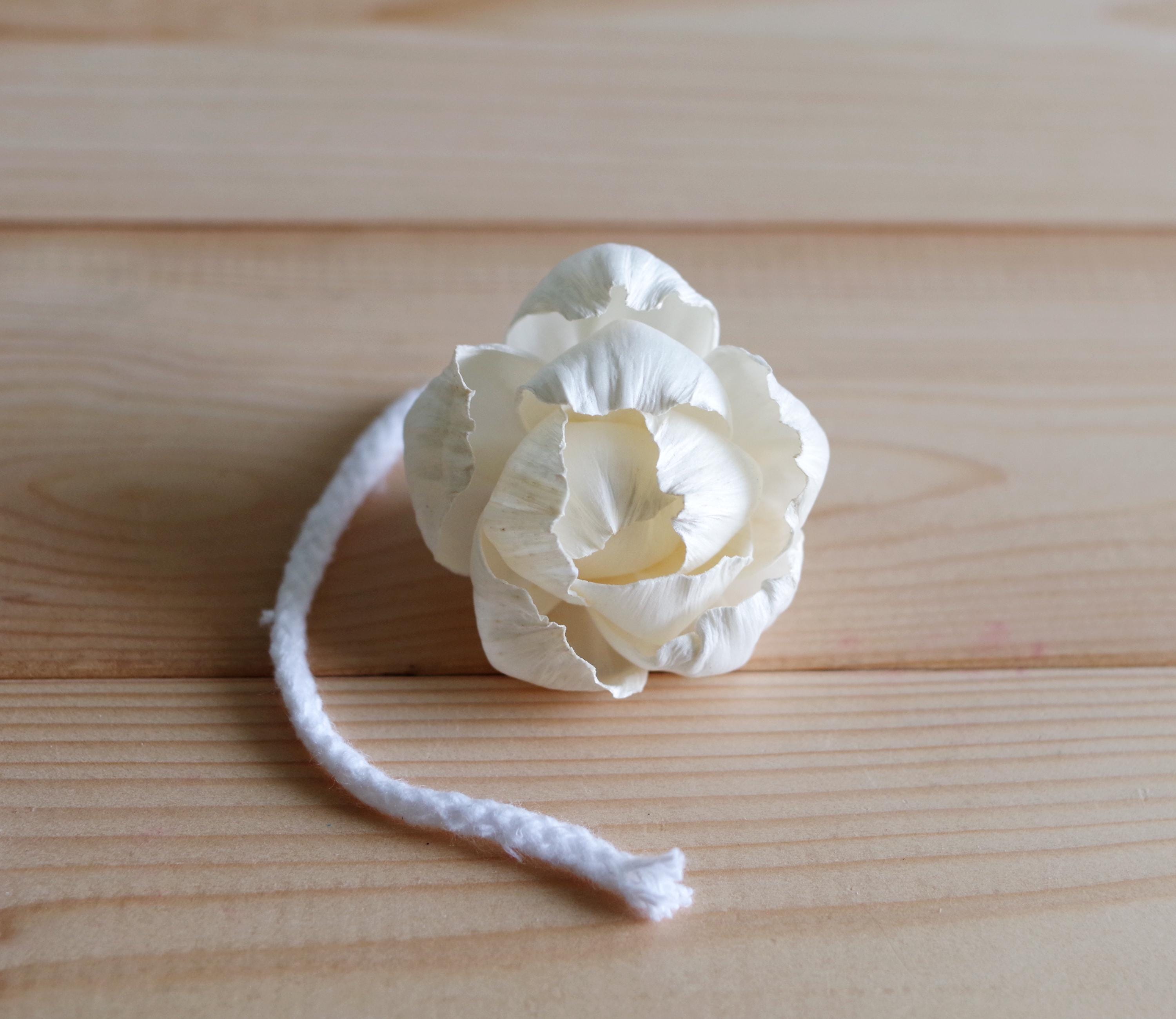 15 Peony Roses Sola Wood Diffuser Flowers 5 Cm Dia. With Options of ...