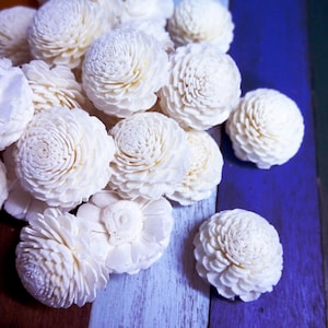 May include: A collection of white sola wood flower buds, arranged on a blue and brown wooden surface. The flowers are made of sola wood, which is a natural material that is lightweight and durable.