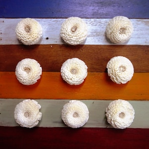 May include: Nine white paper flowers arranged in three rows on a multi-coloured wooden background. The flowers are all the same size and shape, and they are all facing the camera.