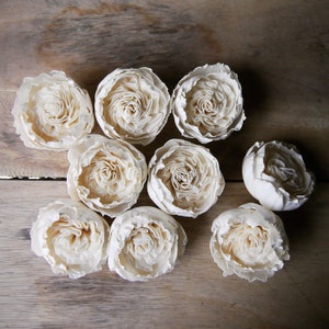 May include: A collection of nine white sola wood flower rosettes. The rosettes are arranged in a circular pattern on a wooden surface.