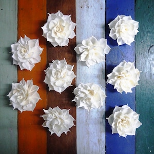 15 Dahlia No.2 Pointed Edge Sola Wood Diffuser Flowers 5cm Dia.