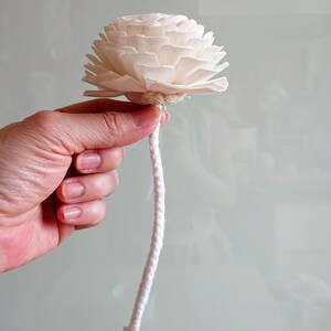 10 Sola Wood Diffuser Flowers With Cotton Rope, Mix of Zinnia ...