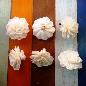 Puede incluir: Seis flores de papel blanco con textura arrugada están dispuestas sobre un fondo de rayas de colores. Las flores son todas de diferentes formas y tamaños, y todas miran hacia la cámara.