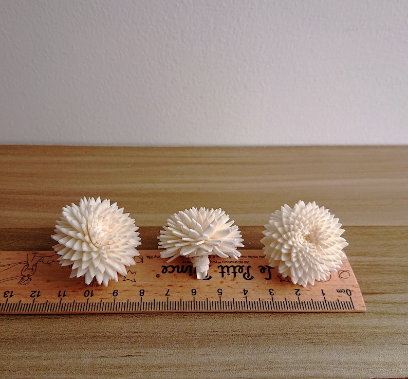 May include: Three white sola wood flower heads arranged in a row on a wooden ruler. The ruler is marked in centimetres and inches. The flowers are approximately 5 cm in diameter.