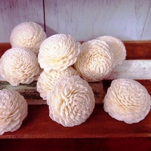 May include: A group of white sola wood flower buds, arranged on a wooden surface. The flowers are made of a lightweight, natural material and have a delicate, layered appearance.