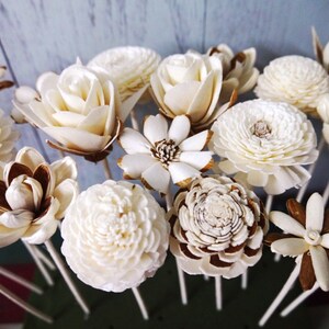 20 Sola Wood Diffuser Flowers with 7.5in. Rattan Reeds, mix of Jasmine, Rose, Zinnia, Lotus, Dianthus, Rangoon-Creeper image 2