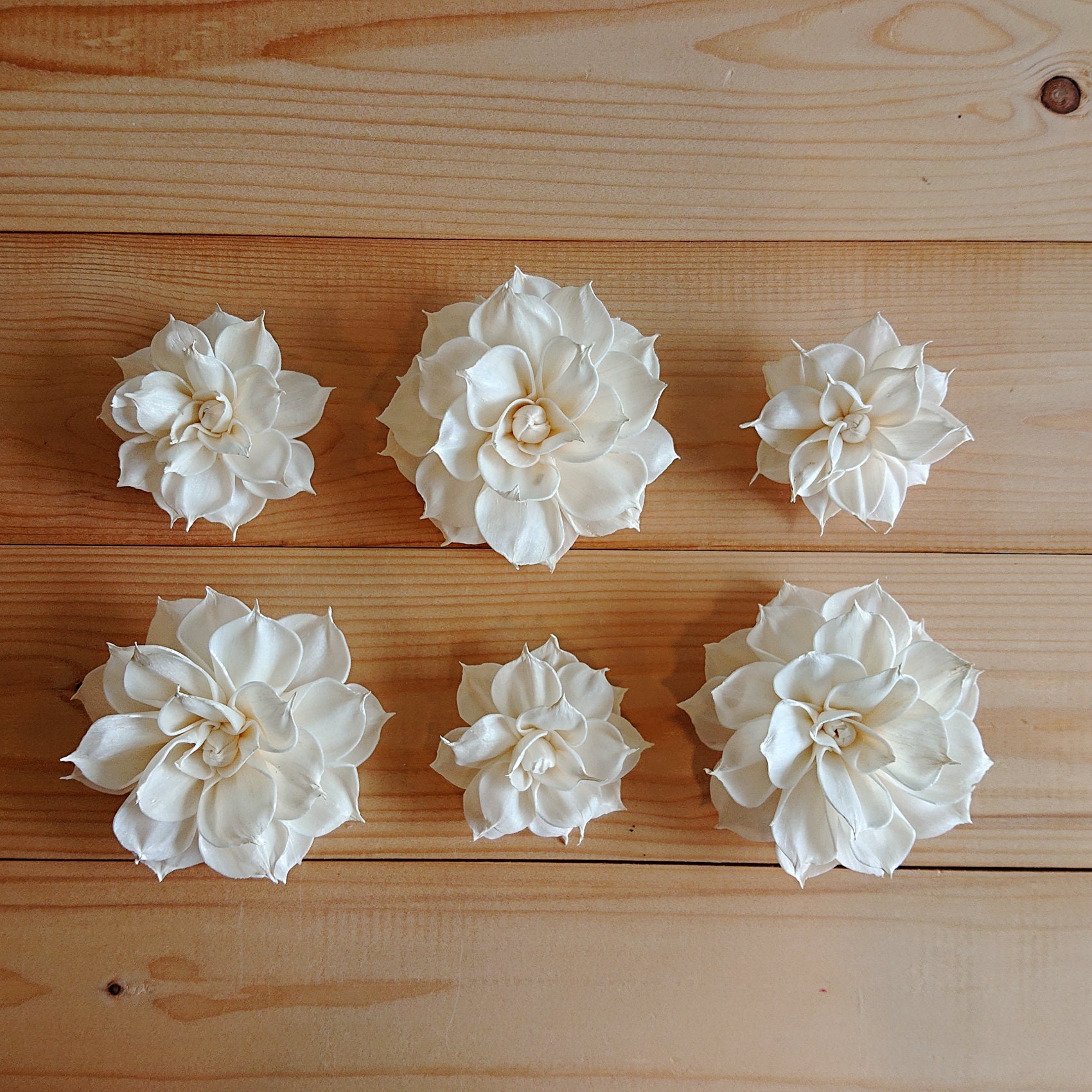 15 Dahlia No.3 Pointed Edge Sola Wood Diffuser Flowers 5cm Dia. With ...