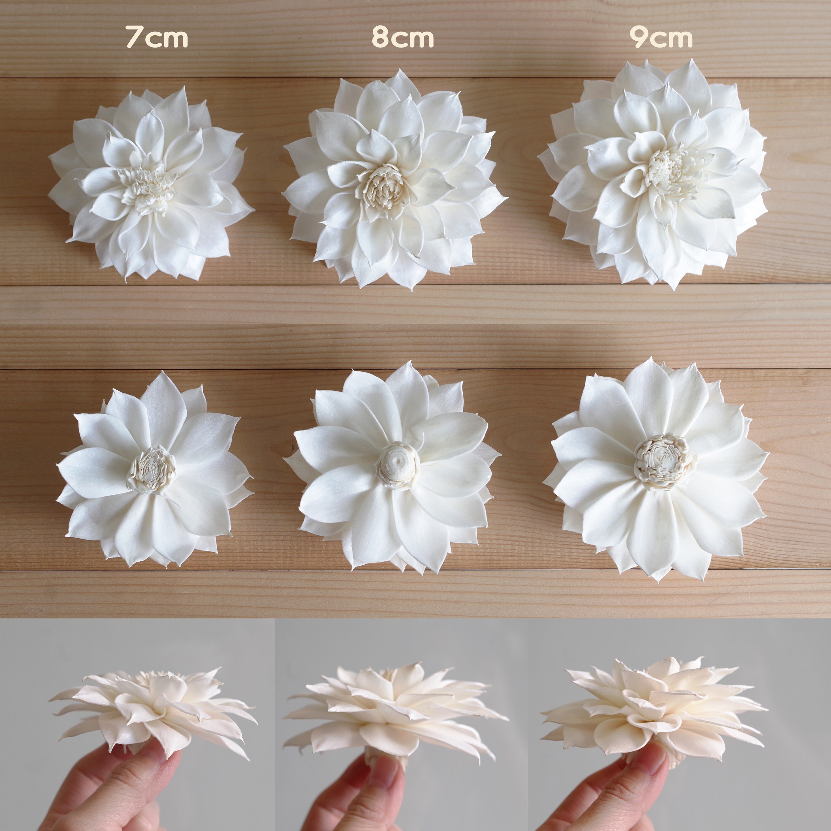 Dahlia No.5 Sola Wood Diffuser Flowers 7cm/8cm/9cm Dia. With Options of ...