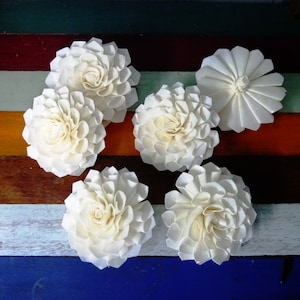 May include: Six white sola wood flower decorations arranged on a multi-colored striped surface. The flowers are all different sizes and have a delicate, layered appearance.