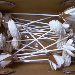 20 Sola Wood Diffuser Flowers with 7.5in. Rattan Reeds, mix of Jasmine, Rose, Zinnia, Lotus, Dianthus, Rangoon-Creeper image 3