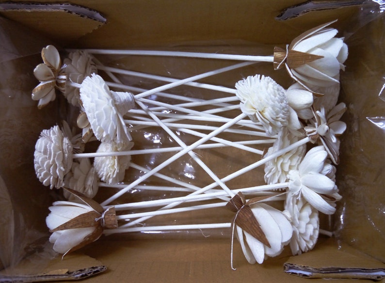 20 Sola Wood Diffuser Flowers with 7.5in. Rattan Reeds, mix of Jasmine, Rose, Zinnia, Lotus, Dianthus, Rangoon-Creeper image 3