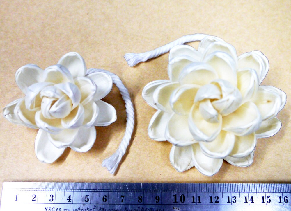 9 Lotus Sola Wood Diffuser Flowers 8 Cm Dia. With Cotton Rope - Etsy