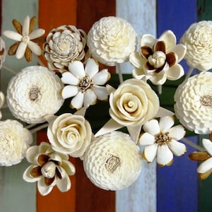 20 Sola Diffuser Flowers mix of Jasmine, Rose, Zinnia, Lotus, Dianthus, Rangoon-Creeper with options of Mai-Nga or Rattan Reeds.