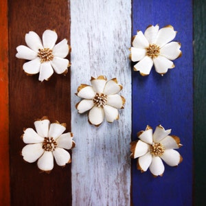 May include: Five white paper flowers with gold edges are arranged on a wooden background with three vertical stripes of brown, white, and blue paint.