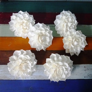 May include: Six white sola wood flower heads arranged on a multi-colored wooden surface. The flowers are all facing the camera and are arranged in a circular pattern.