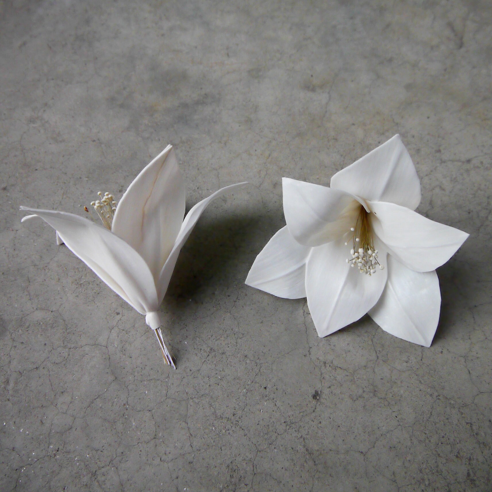 6 Lily Sola Wood Diffuser Flowers 15 Cm Dia. With an Option of 12in ...