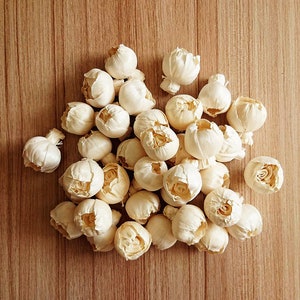 May include: A collection of dried white flower buds, arranged in a pile on a wooden surface. The buds are all closed and have a slightly textured surface.