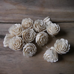 Op de afbeelding: Een verzameling van 10 kleine, crèmekleurige, houten sola-houten rozen. De rozen zijn in een cluster op een houten oppervlak gerangschikt.