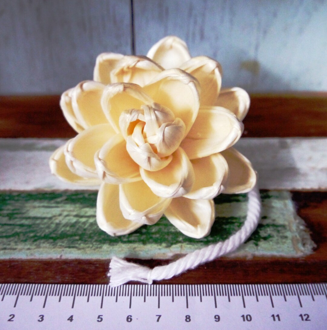 9 Lotus Sola Wood Diffuser Flowers 8 Cm Dia. With Cotton Rope - Etsy