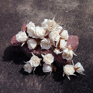 20 Roses with Brown Sepal Sola Wood Diffuser Flowers 3+ cm Dia.